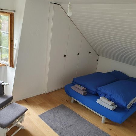 3 Bedroom Swiss House On 3 Floors Oberglatt 部屋 写真