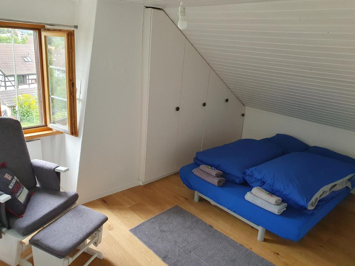 3 Bedroom Swiss House On 3 Floors Oberglatt エクステリア 写真