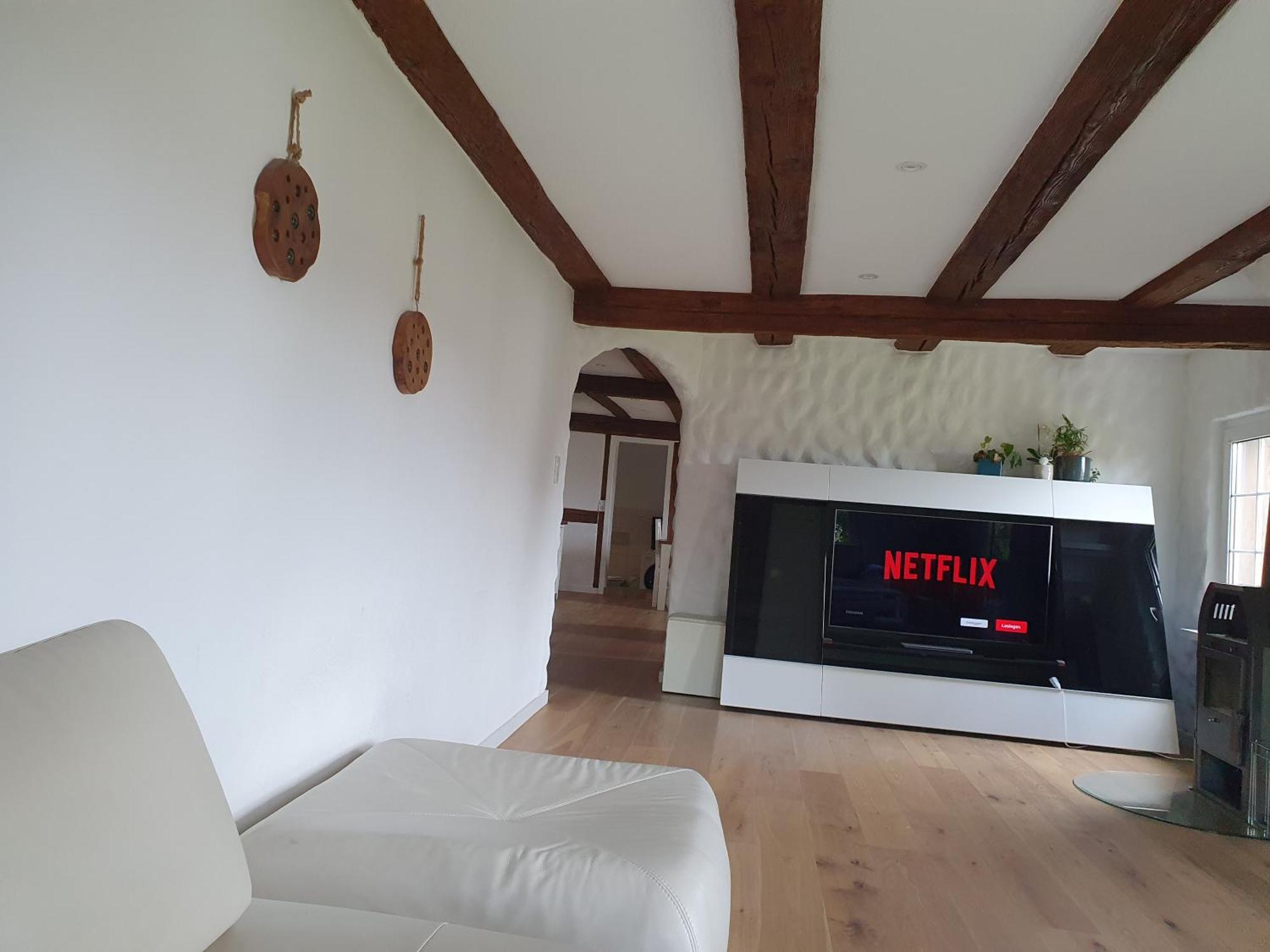 3 Bedroom Swiss House On 3 Floors Oberglatt 部屋 写真